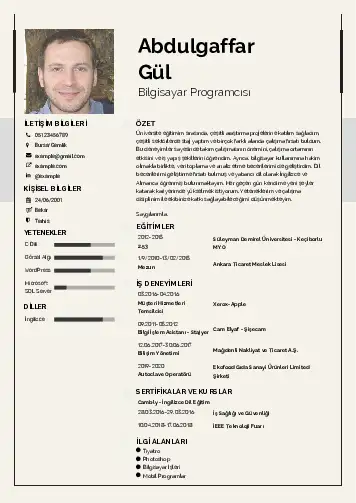 Bilgisayar Programcısı CV Örnekleri cv indir